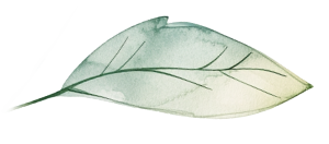 Imunita